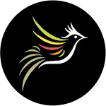 دانلود برنامه بلبل جان جدید و رفع توقیف شده BolBol Jan【اندروید + تی وی + هوشمند】 دانلود برنامه بلبل جان جدید و رفع توقیف شده BolBol Jan【اندروید + تی وی + هوشمند】